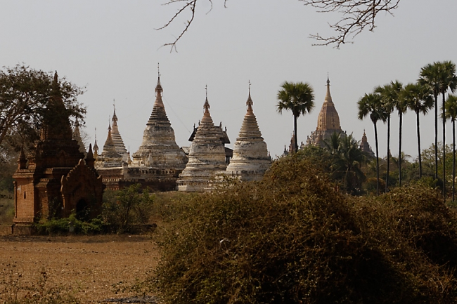 Pagan-Shwe San Daw-113
